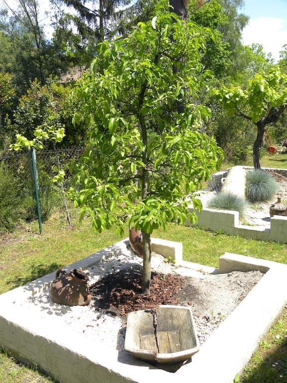Villa Mogador Piscine Et Balneo Andernos-les-Bains Zewnętrze zdjęcie